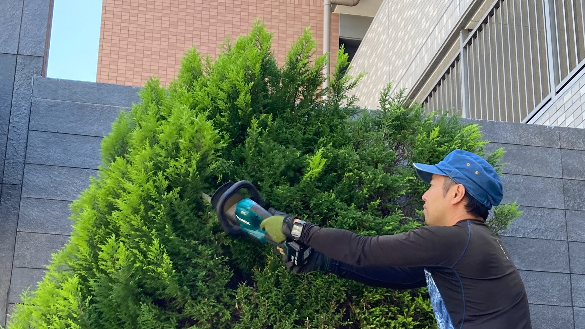 植栽管理